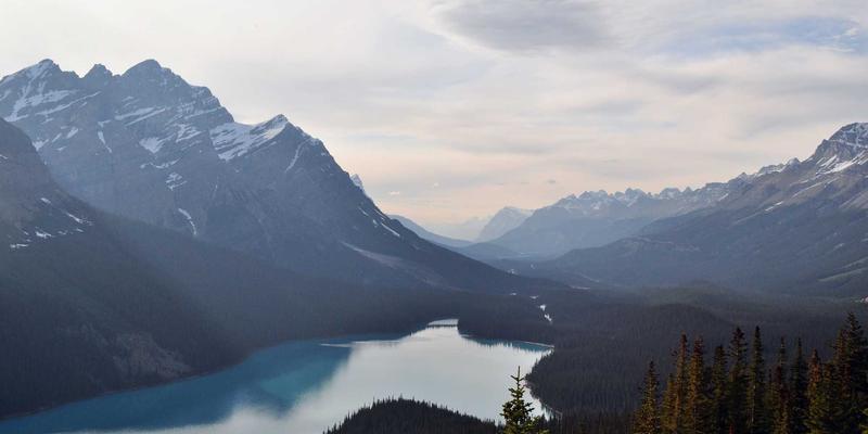 企业短信发送如何选？深度解析工业级短信猫与普通短信猫的核心差异与应用场景