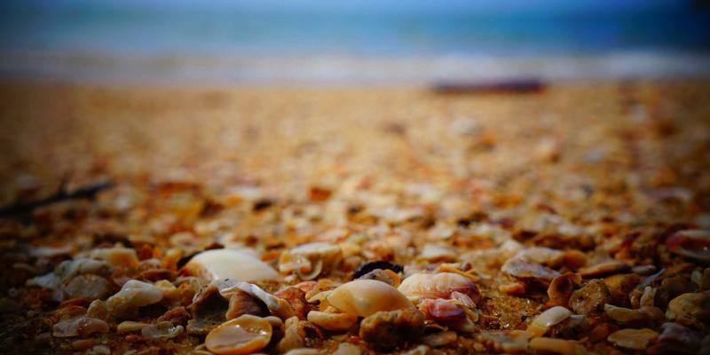 短信猫如何重塑医疗沟通？深度解析预约提醒、报告通知与健康关怀的智慧实践