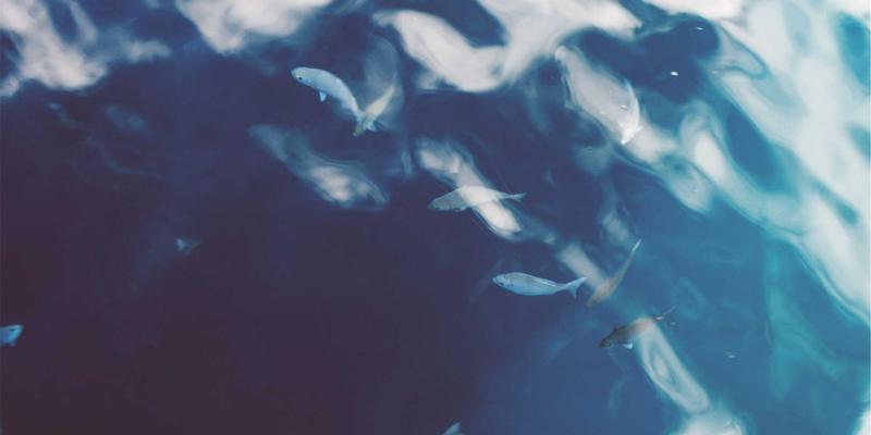 短信猫如何重塑物流通信？揭秘快递状态实时通知与签收确认系统的核心技术